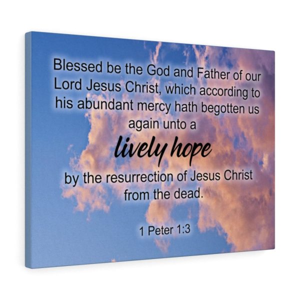 Scripture Canvas Lively Hope 1 Peter 1:3 Christian Bible Verse Meaningful Framed Prints, Canvas Paintings - Image 3