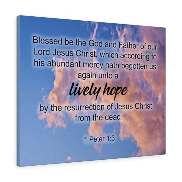 Scripture Canvas Lively Hope 1 Peter 1:3 Christian Bible Verse Meaningful Framed Prints, Canvas Paintings - Image 6